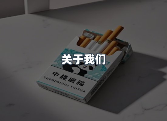关于我们